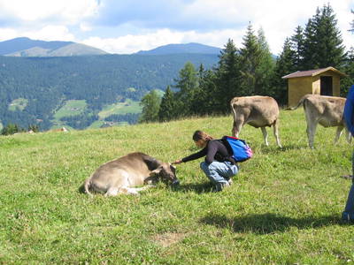 Bild 15 aus  Oswalderhof