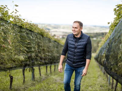 Bild 17 aus  Weingut Krispel