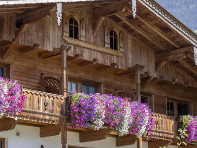 Bild 105 aus  Larchergut