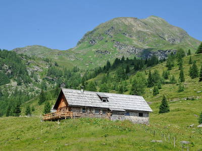 Bild 36 aus  Biobauernhof Tonimörtl