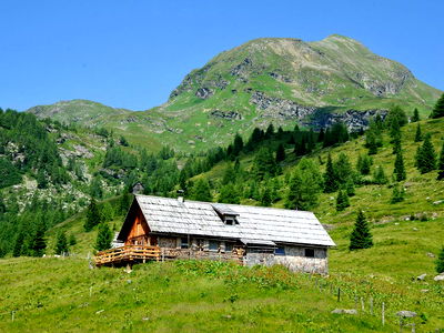 Bild 20 aus Biobauernhof Tonimörtl