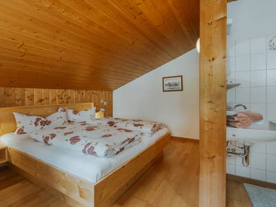 Bild 32 aus  Berghof Latzer