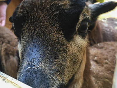 Bild 31 aus  LandSelection Gutshof Käppeler