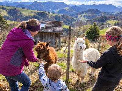 Bild 17 aus  Ferienhof Schneiderweg
