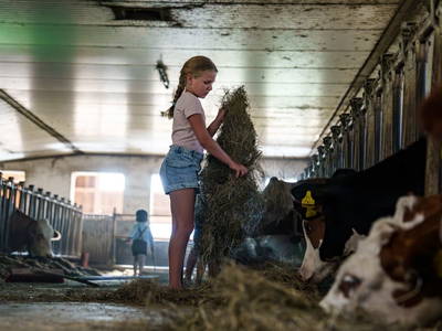 Bild 55 aus  Sinnhubgut