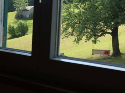 Bild 253 aus  Familienbauernhof Bereuter