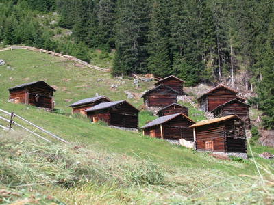 Bild 31 aus  Reinalter