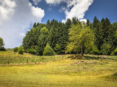 Bild 66 aus  Schaidreithof