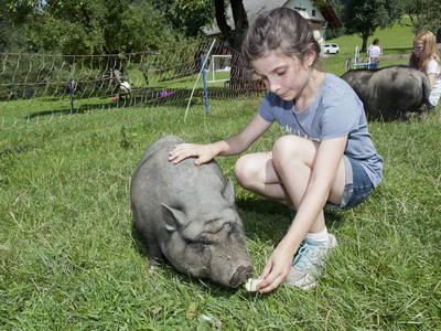 Bild 20 aus  Burgstallerhof