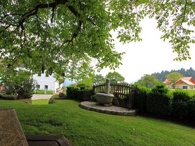 Bild 19 aus  Bammer im Herndlberg