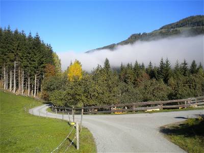 Bild 56 aus Umundum Hütte