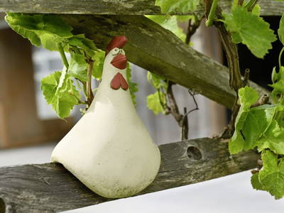 Bild 65 aus  Biohof Mathies