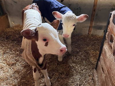 Bild 74 aus  Unterwöhrlehen