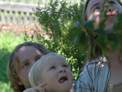 Bild 50 aus  Nussbaumerhof   