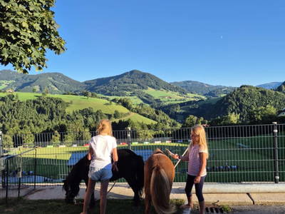 Bild 205 aus  Seyerlehnerhof