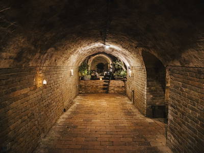 Bild 282 aus  Winzerhof Küssler, Weinviertel