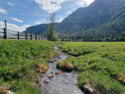 Bild 51 aus  Alfaierhof & Bergheimat