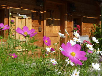 Bild 33 aus  Stückler - Hütte