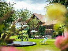 Bild 12 aus  Bauernhof Dissauer Fam. Rosinger