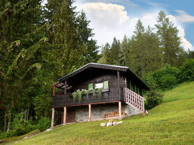 Bild 27 aus  Schwammerlhütte