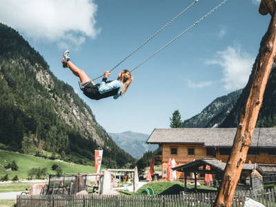 Bild 132 aus  Enzianhütte im Habachtal