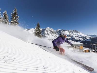 Bild 93 aus  Bergbauernhof Brandgut