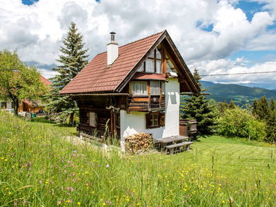 Bild 2 aus  Troadkostn beim Bucher