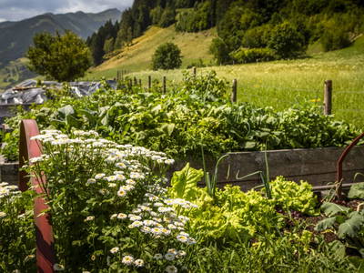 Bild 121 aus  Hinterhub