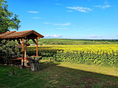 Bild 52 aus  Ferienhaus Weinviertel