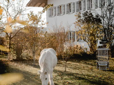 Bild 26 aus  Kimpelehof