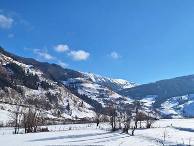 Bild 15 aus  Voithof