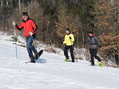 Bild 78 aus  Biohof Stadlbauer