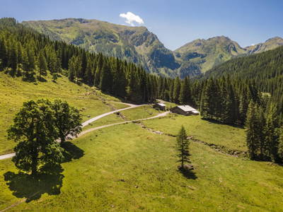 Bild 54 aus  Hintereggalm