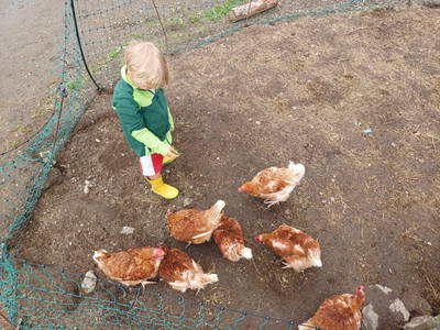 Bild 91 aus  Familienparadies Zeislerhof