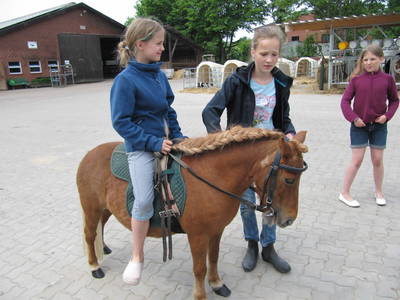 Bild 20 aus  Ferienhof Knoop