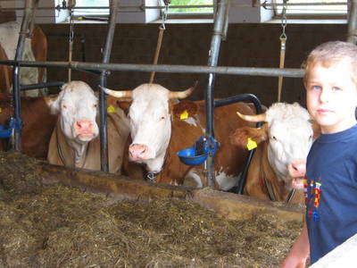 Bild 5 aus  Ferienhof Kopp