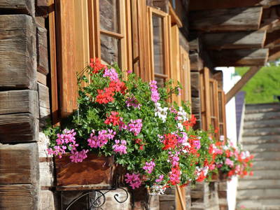 Bild 9 aus  Schmiedlehnerhof