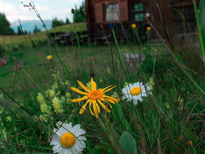 Bild 30 aus  Hanslerhütte