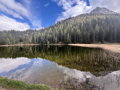 Bild 20 aus Riatschhof