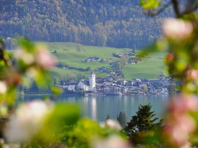 Bild 126 aus  Altroiterhof 