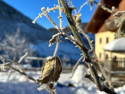 Bild 27 aus  Ferienhaus Oberpremgut