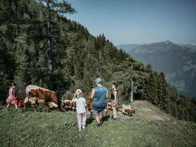 Bild 93 aus  Biobauernhof Aubauer