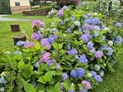 Bild 39 aus  Unterwöhrlehen