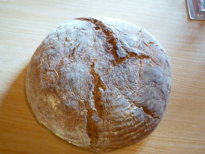 Bild 35 aus  Rieplerhof