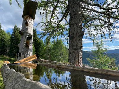 Bild 41 aus  Zirbenhütte