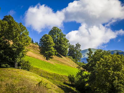 Bild 27 aus  Naglbauer