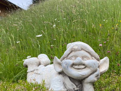 Bild 83 aus  Stembergerhof