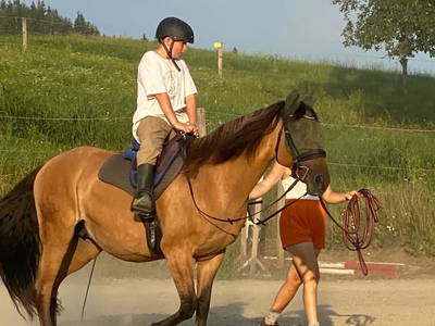 Bild 95 aus  Matlhof