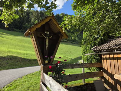 Bild 91 aus  Waldpension Ranner