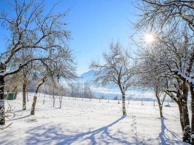 Bild 18 aus  Landhaus Sofie